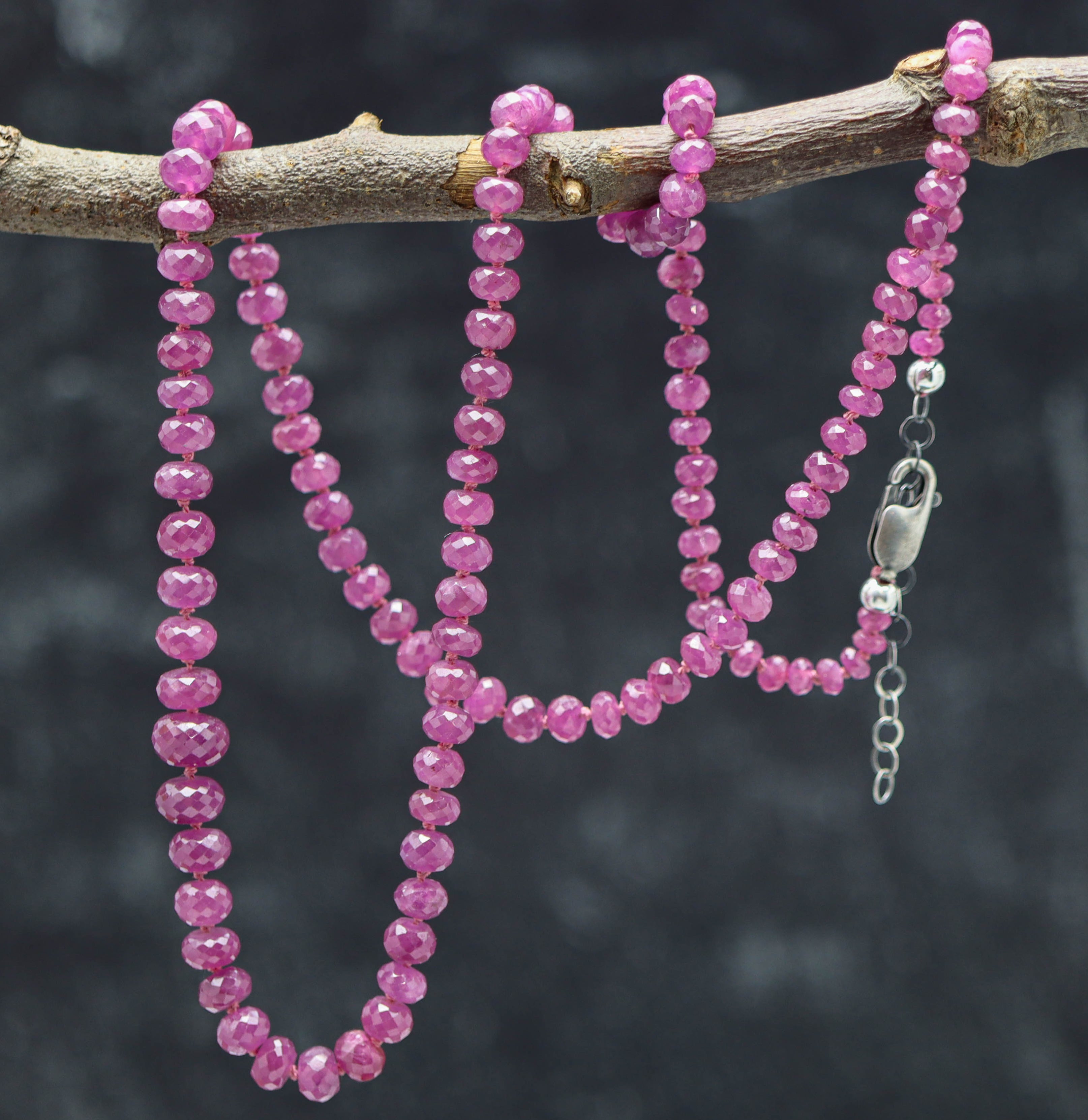 A hand knotted strand of faceted roundel shaped rubies on a silk thread, with a sterling silver lobster claw clasp, displayed on a branch against a dark background.