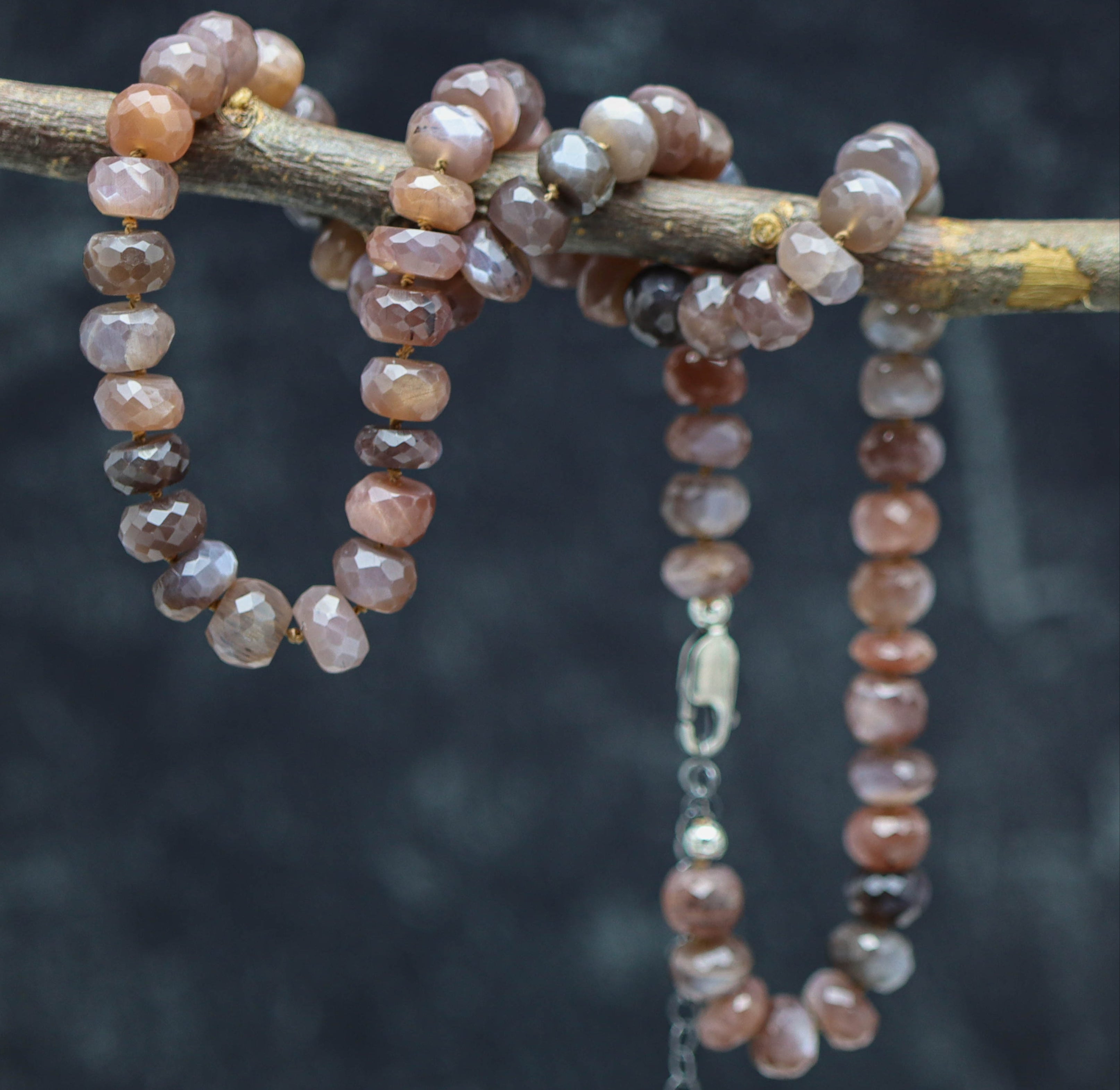 Beaded bracelet with a chain on a branch against a dark background