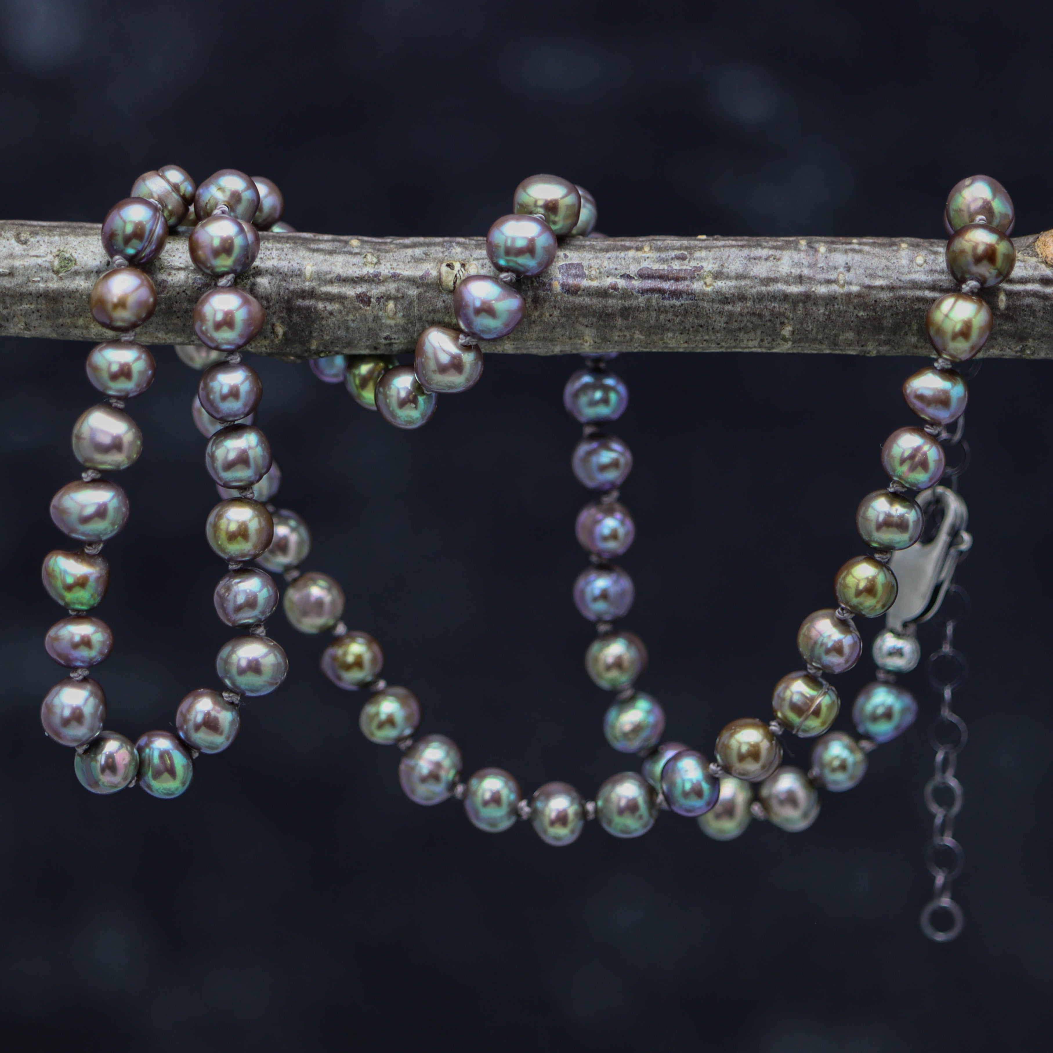 A hand knotted freshwater pearl bead necklace with sterling silver clasp, displayed on a branch against a dark background.