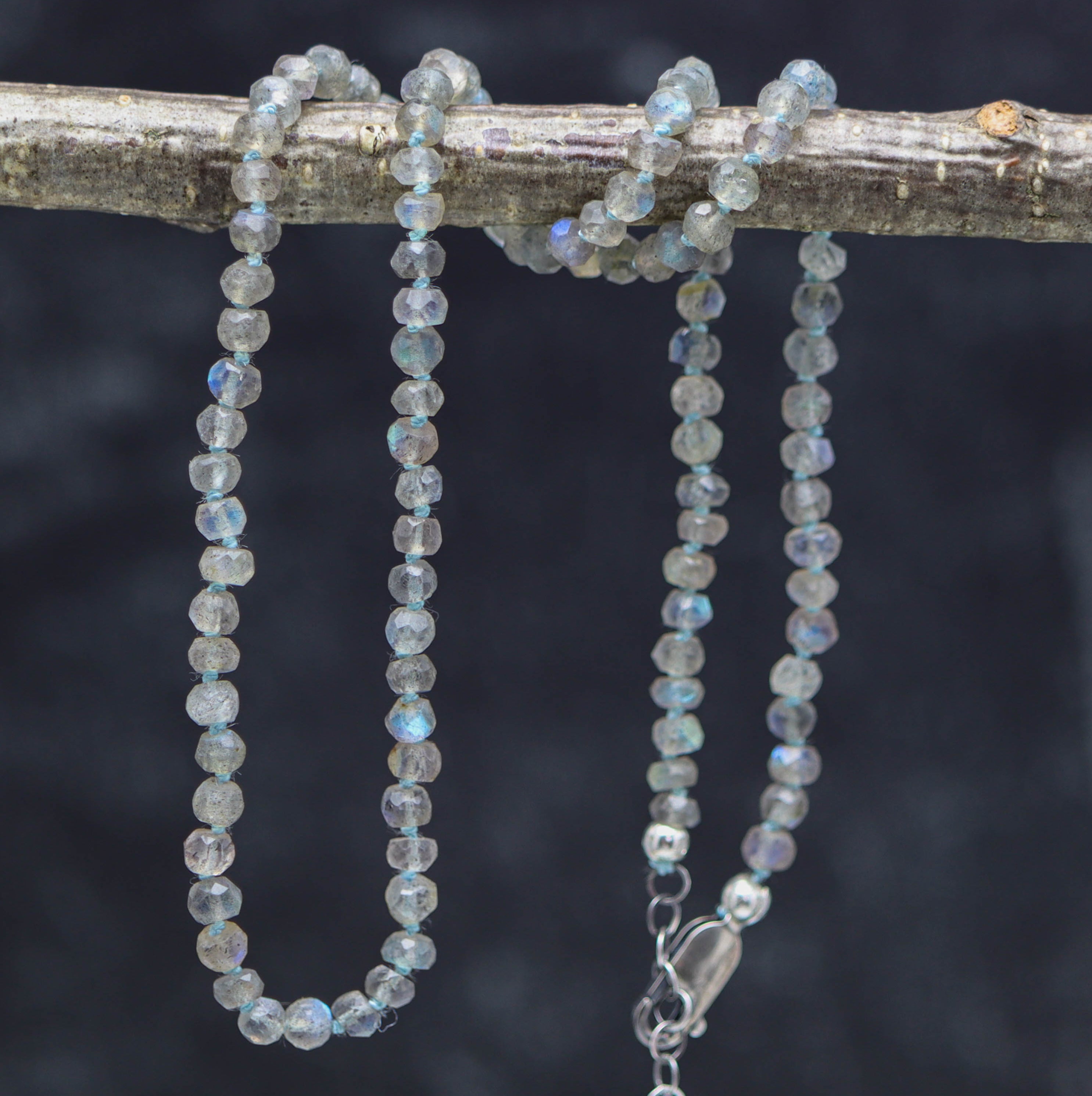 A hand knotted bead necklace made of faceted roundel labradorite with a sterling silver lobster claw closure, displayed on a branch against a dark background.