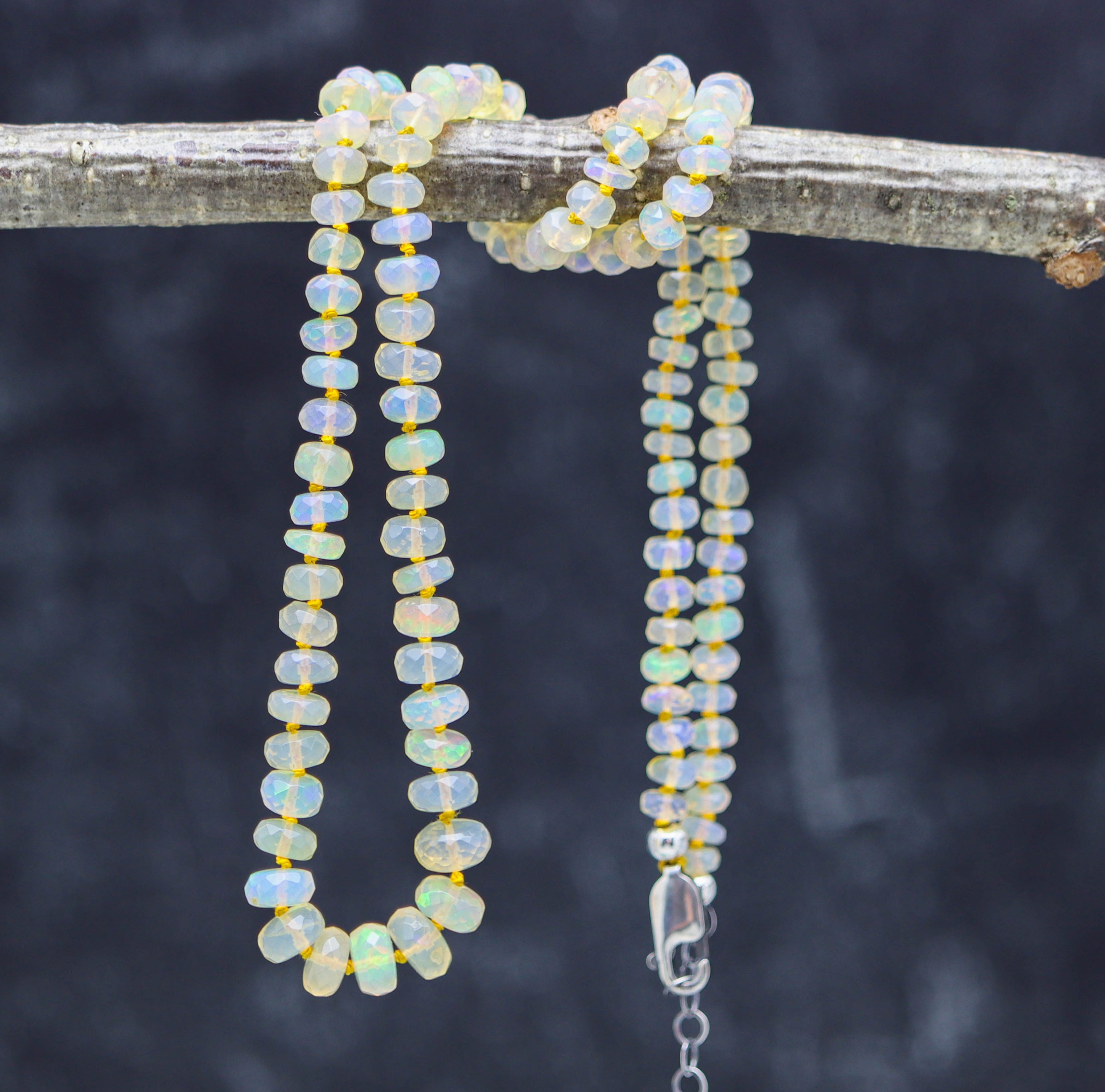 Opal beaded necklace on a branch with a dark background