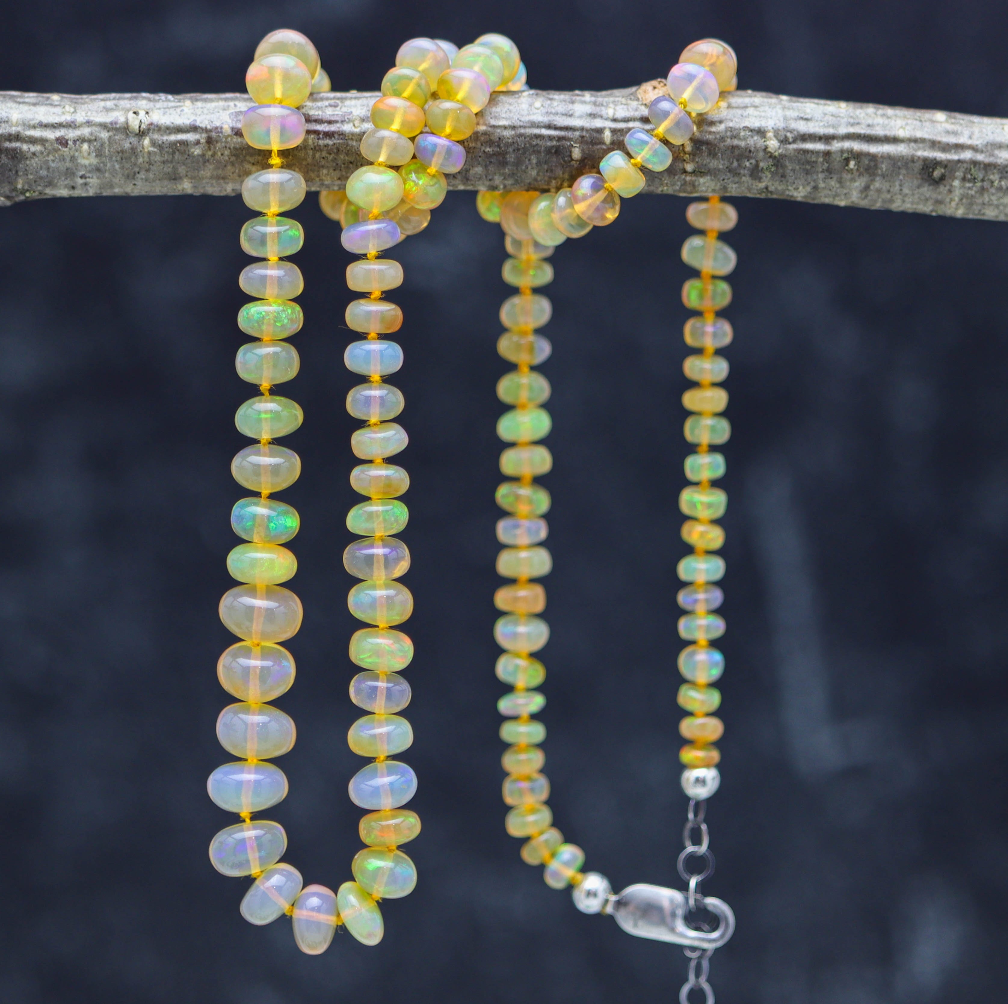 Opal beaded necklace on a branch with a dark background
