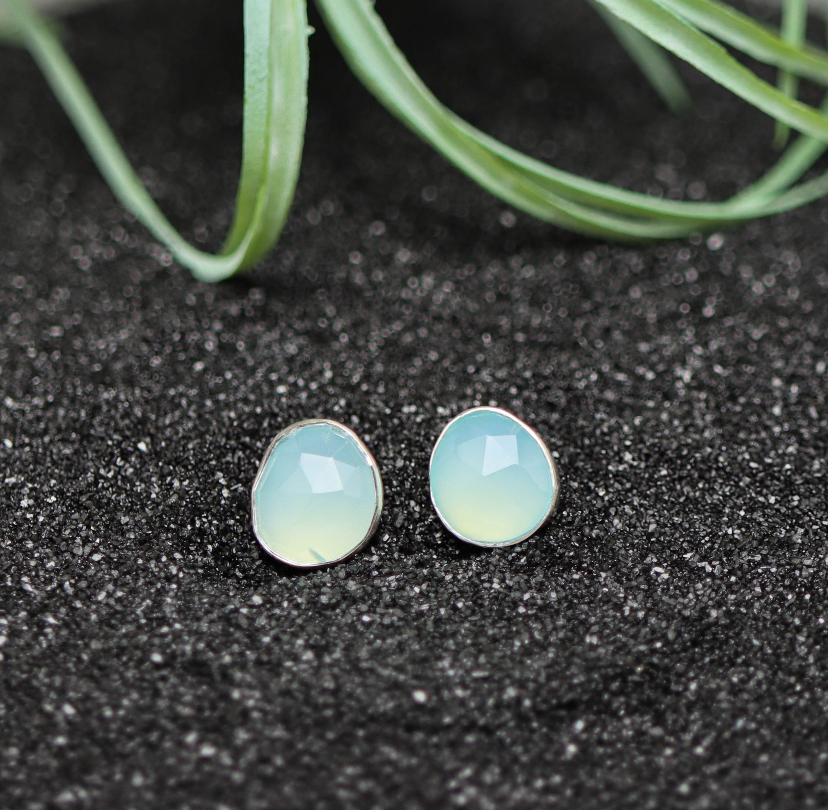 Pair of light blue earrings on a black textured surface with green plant in the background