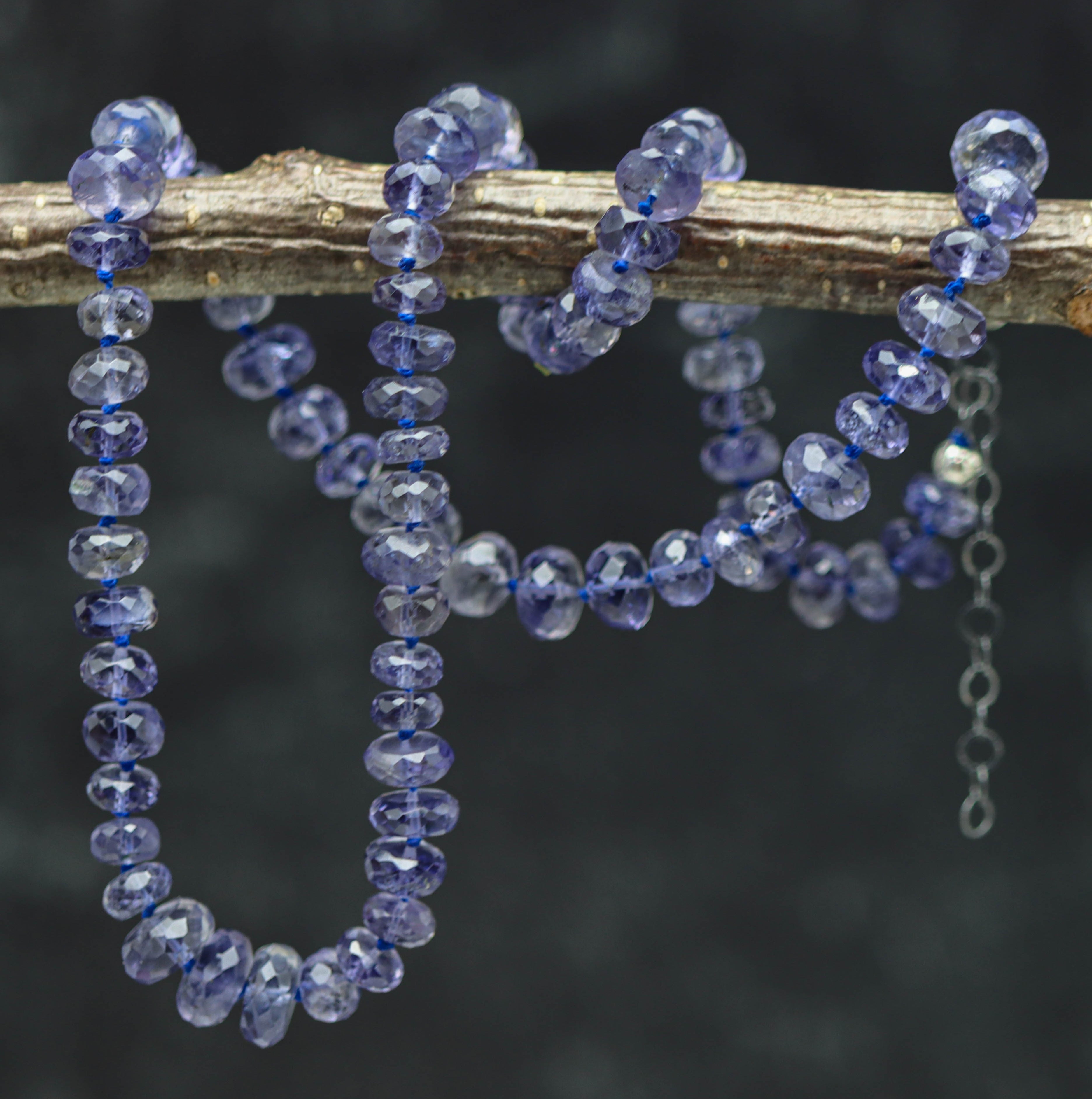 Blue beaded necklace on a branch with a blurred background