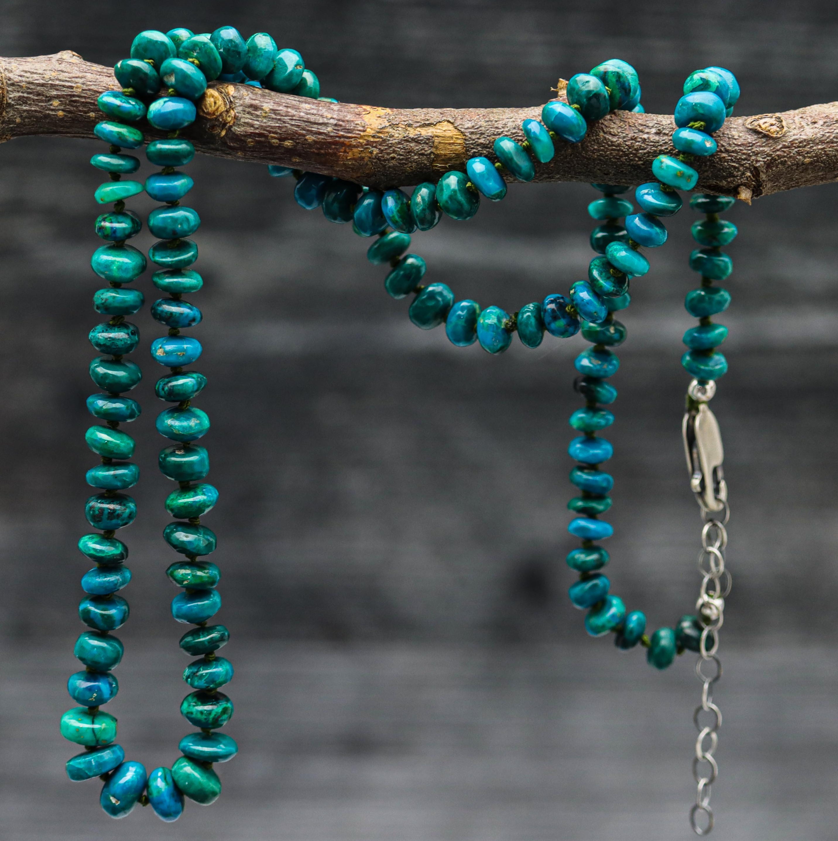A hand knotted strand of roundel-shaped chrysocolla beads on silk thread, with a sterling silver closure, displayed on a branch.