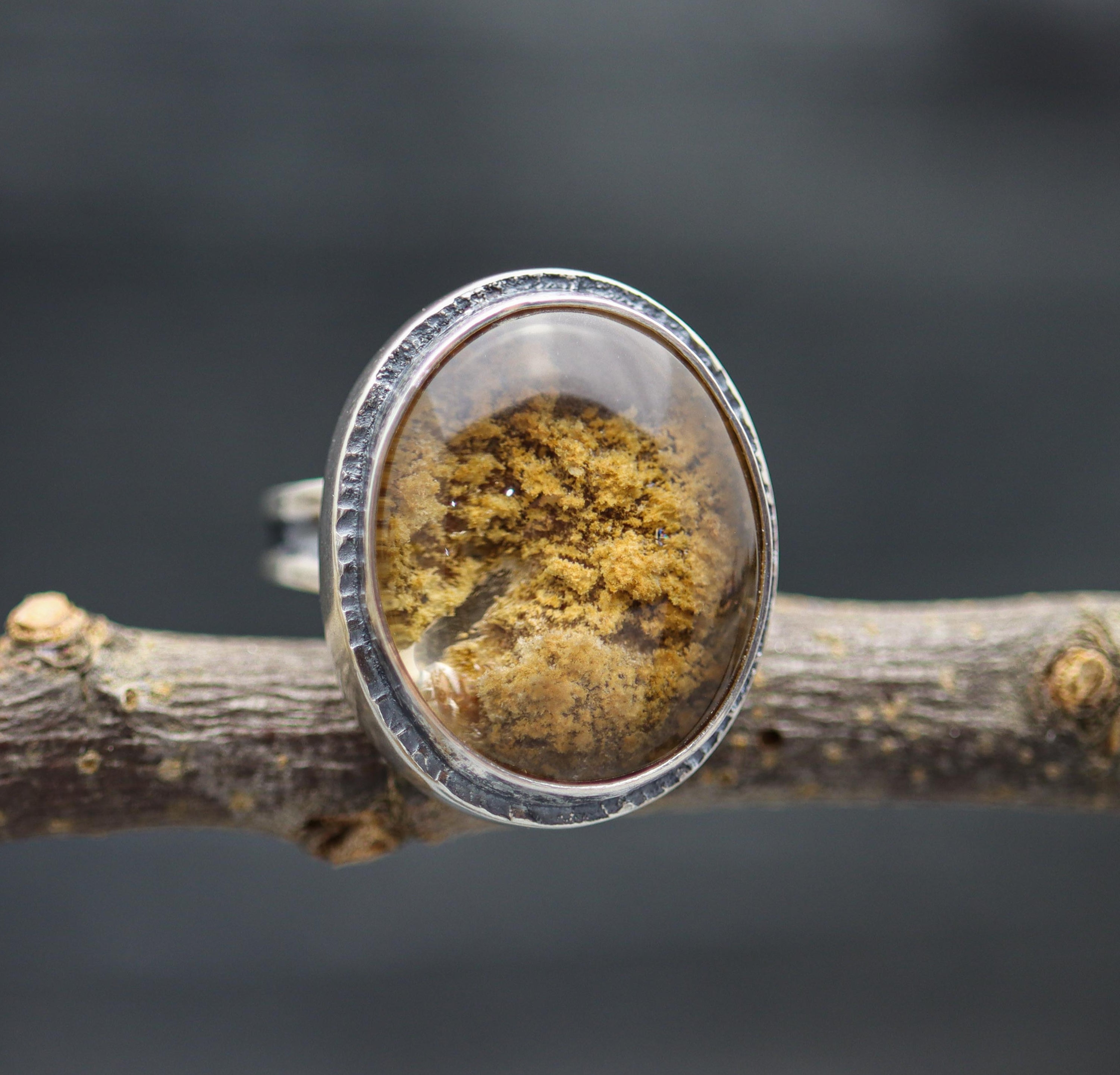 A sterling silver ring with a chlorite in quartz gemstone, set in a high dome, displayed on a tree branch.