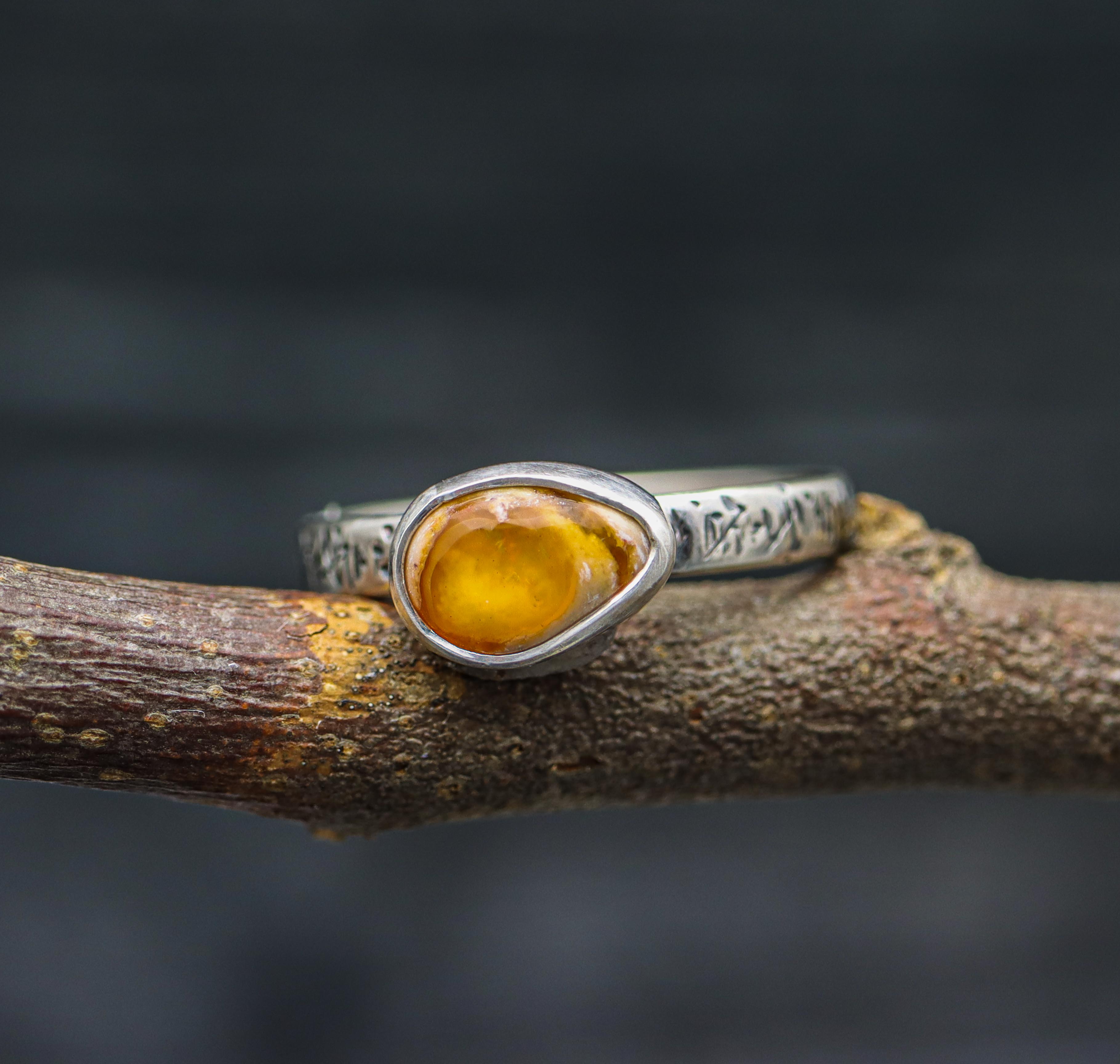 A sterling silver ring with a Mexican fire opal gemstone set on a textured band, displayed on a branch.