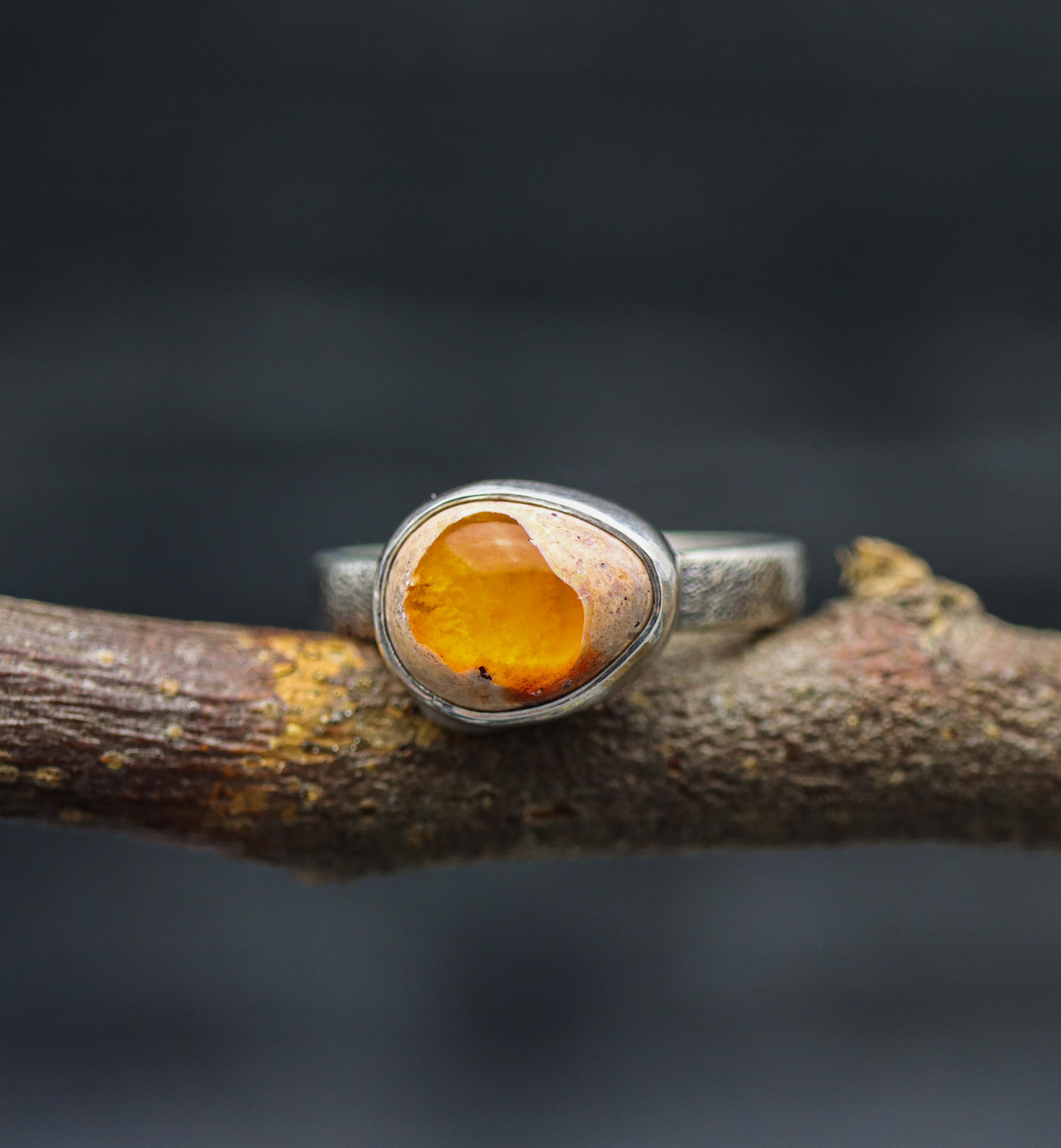 A sterling silver ring with a Mexican fire opal gemstone set on a textured band, displayed on a branch.