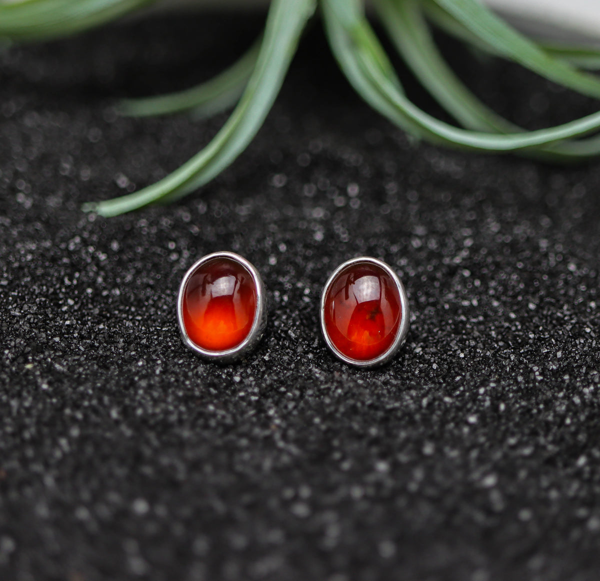 Stud Earrings