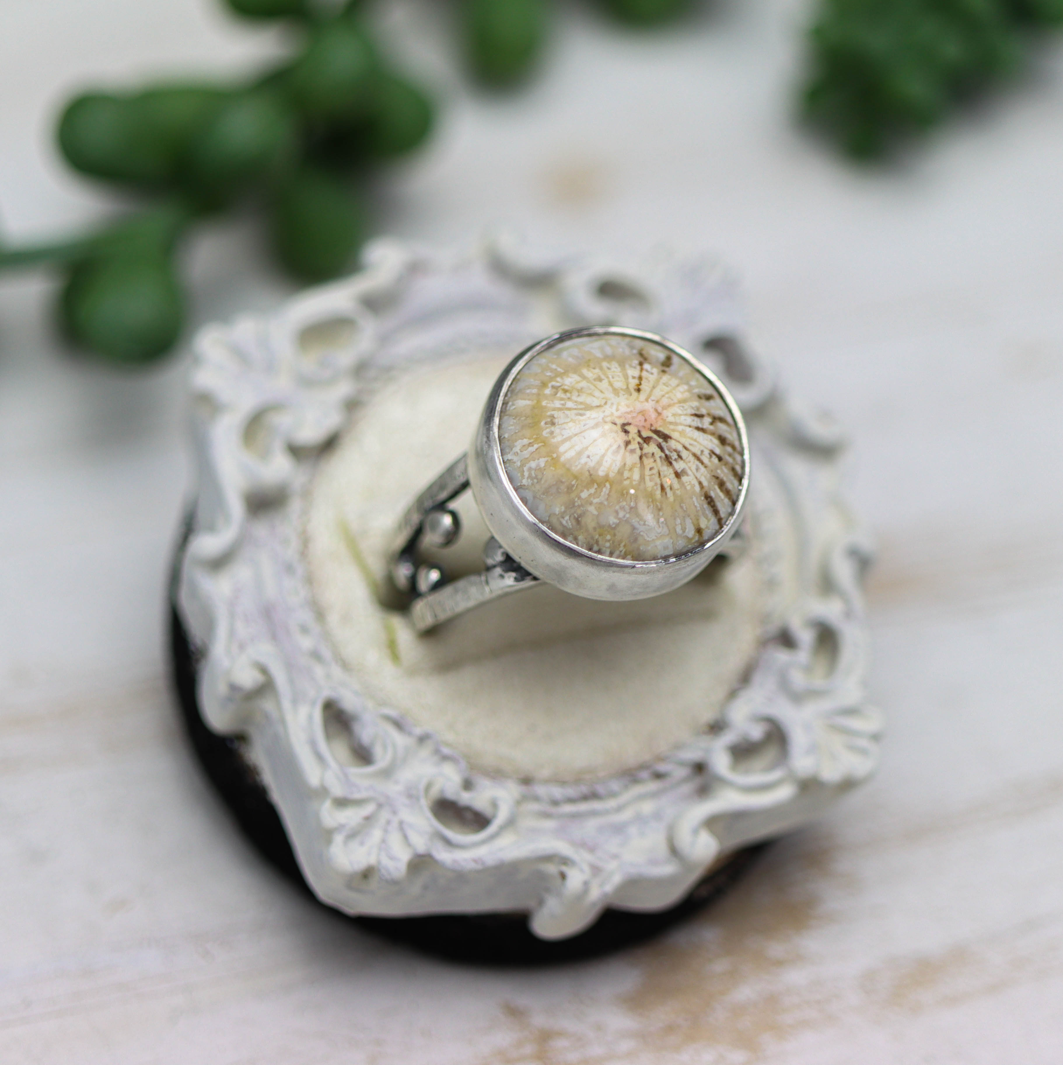 Fossil Coral Sterling Silver Bubble Band Ring Size 8.5