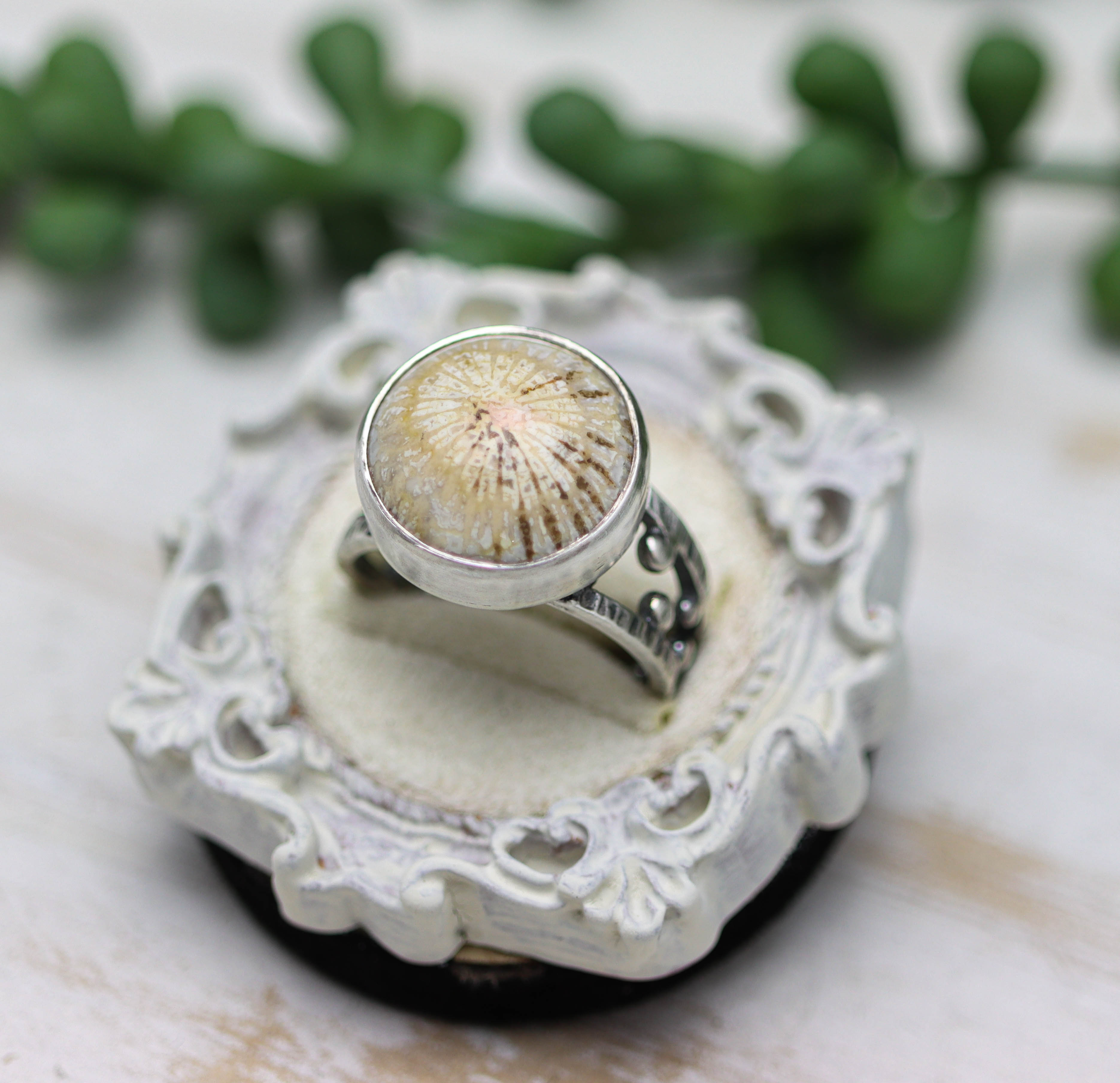 Fossil Coral Sterling Silver Bubble Band Ring Size 8.5
