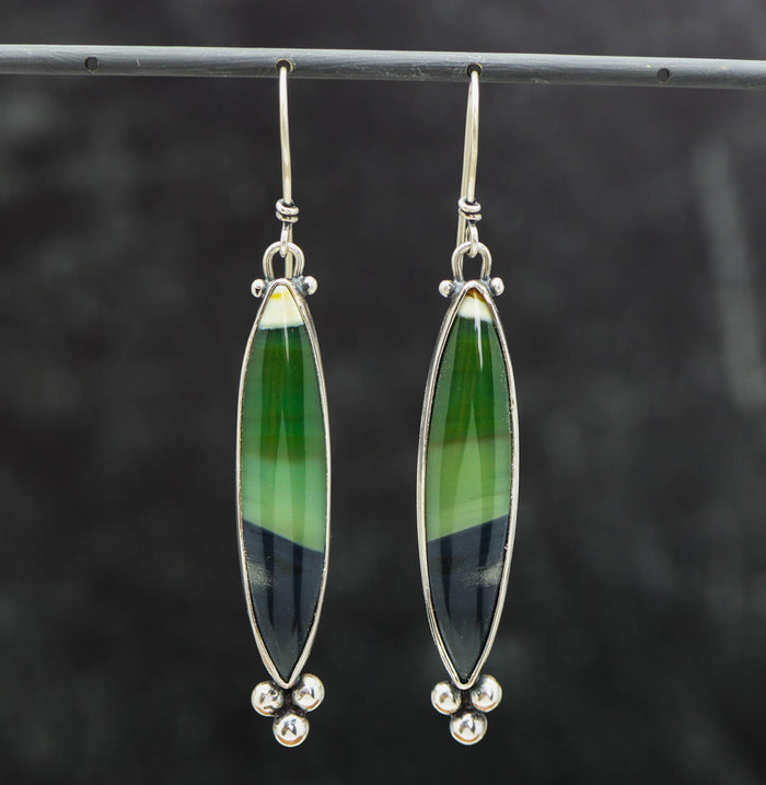 Opalized Petrified Wood Dangle Earrings Sterling Silver