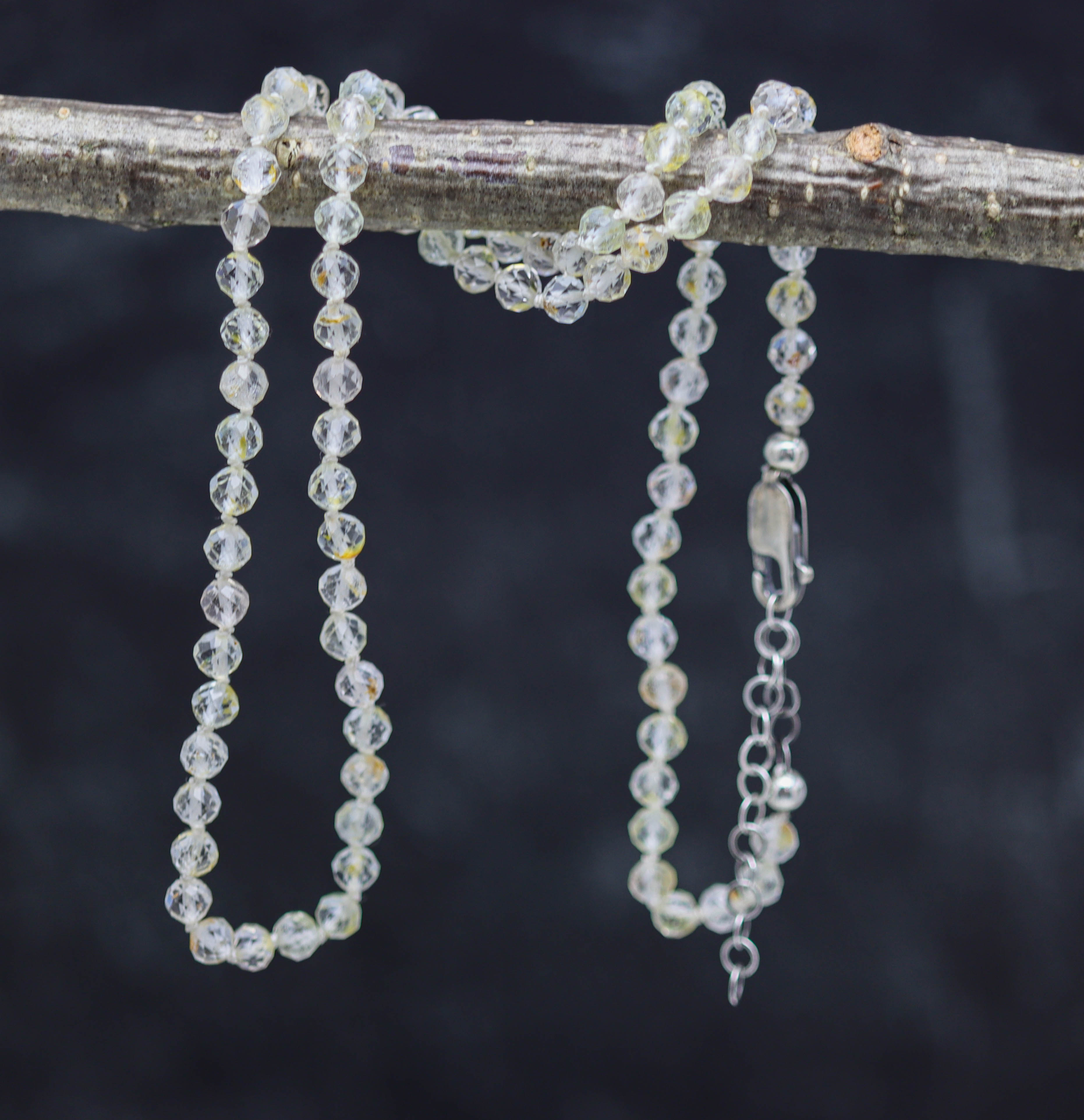 Beaded necklace on a branch with a dark background