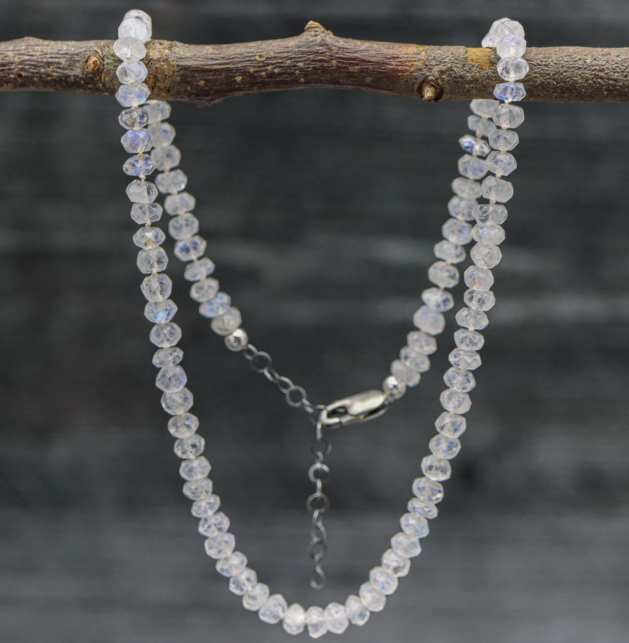 A hand knotted necklace made of rainbow moonstone beads, strung on silk thread with a sterling silver lobster claw closure, displayed on a branch.