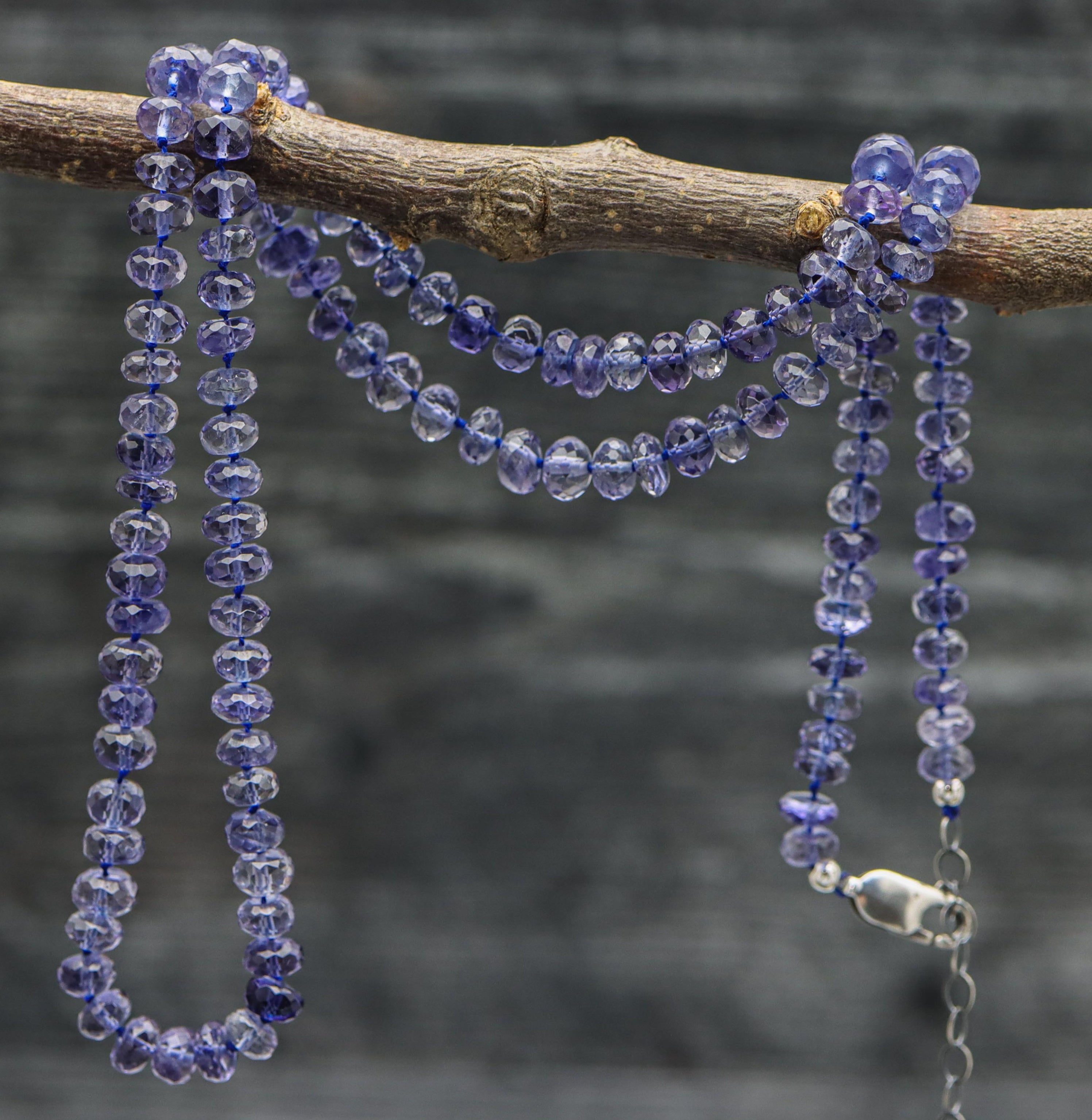 A hand knotted strand of blue violet iolite gemstone beads on silk thread, with a sterling silver lobster claw closure and extension chain, displayed on a branch.