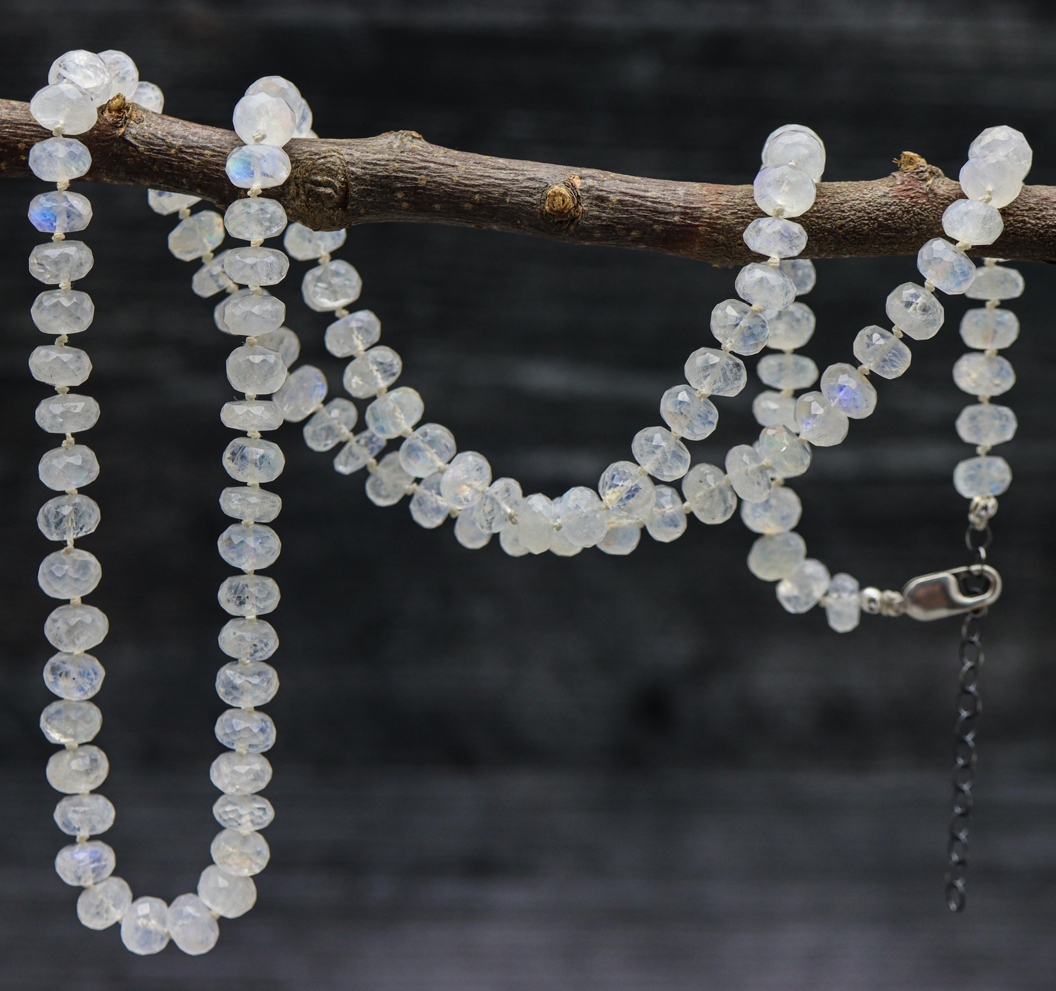 A hand knotted necklace made of rainbow moonstone beads, strung on silk thread, with a sterling silver clasp, displayed on a branch.